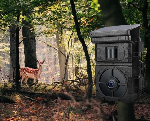 Trail camera guide