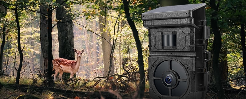 Trail camera guide