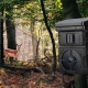 Trail camera guide