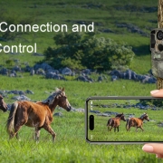 Ultra WiFi Trail Camera