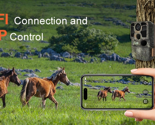 Ultra WiFi Trail Camera