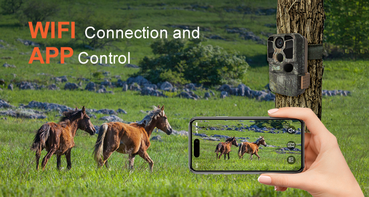 Ultra WiFi Trail Camera