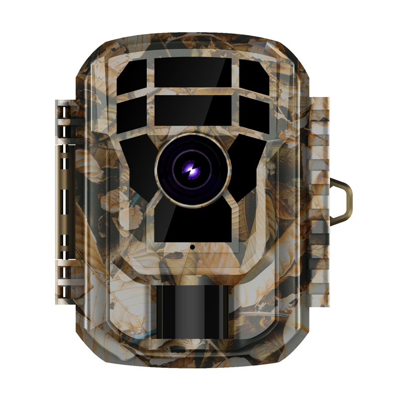 GDL-202 (1)