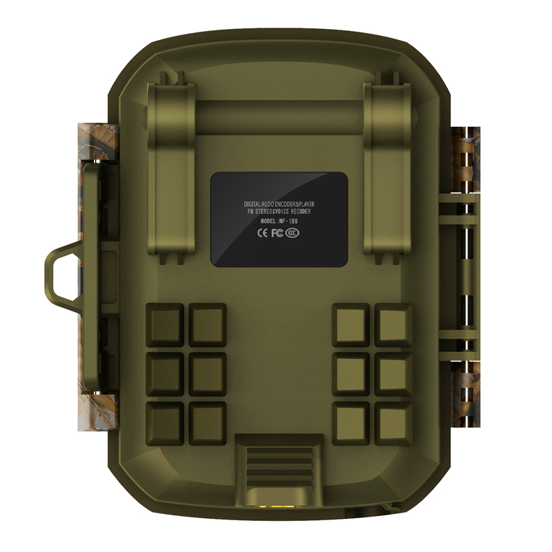 GDL-202 (2)